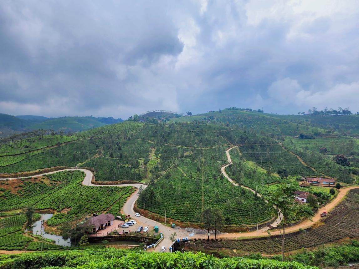 Kolahalamedu