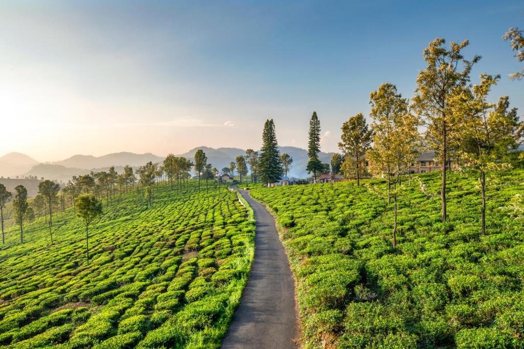 Coonoor Road