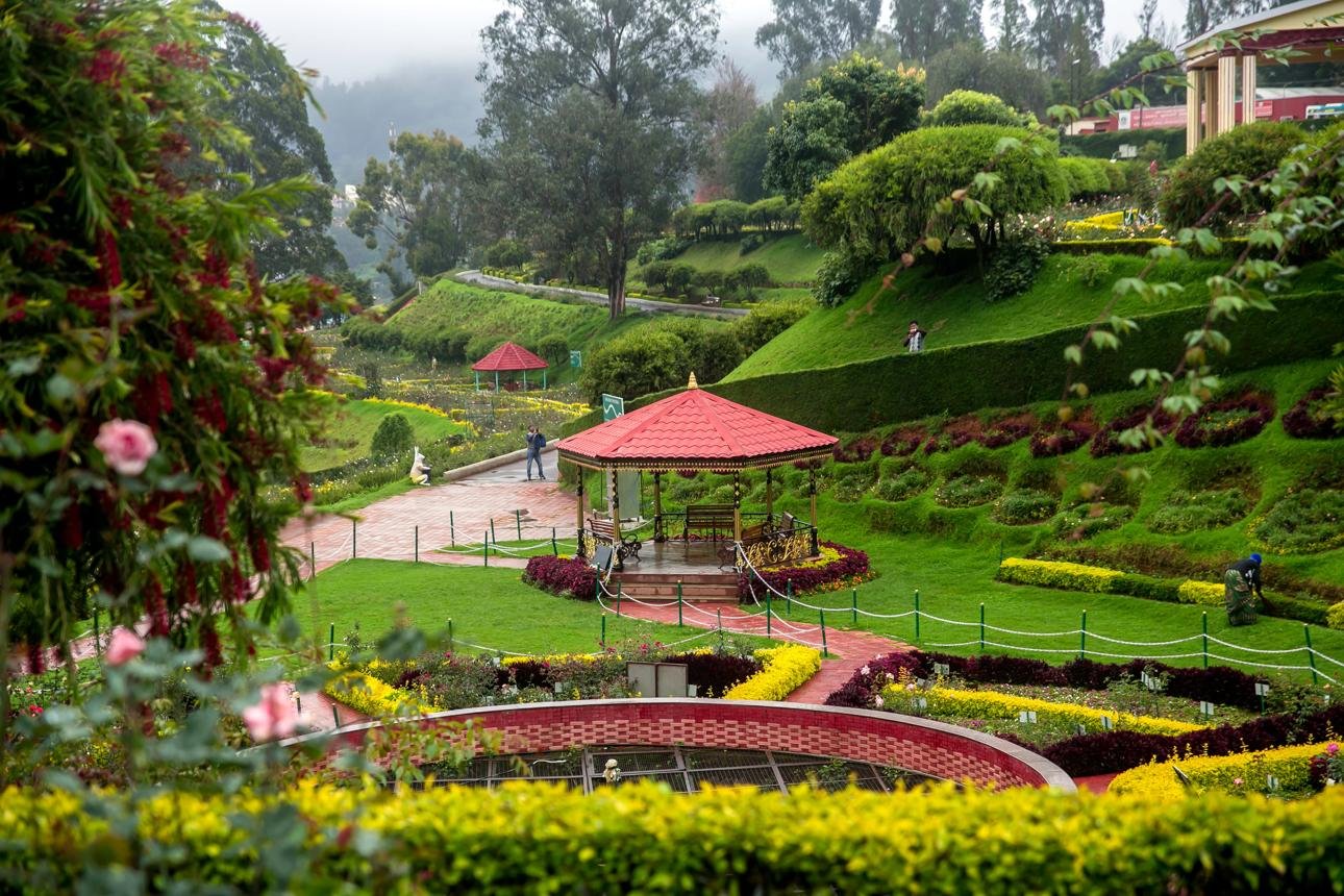 Rose Garden